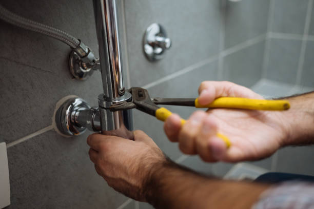 Best Plumbing Inspection Services  in Steelton, PA
